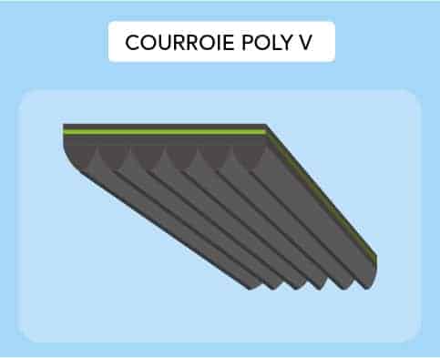Courroie Poly V