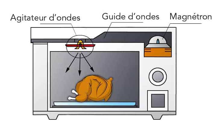 Réparer Le Micro-ondes En Toute Sécurité : Les Précautions - L'atelier ...