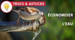 Astuces pour économiser l'eau