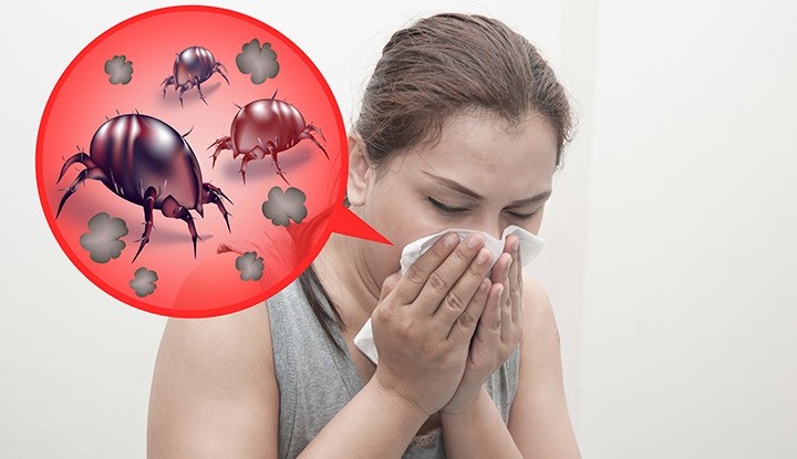 Allergie aux acariens