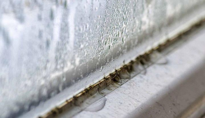 Humidité et condensation sur la fenêtre