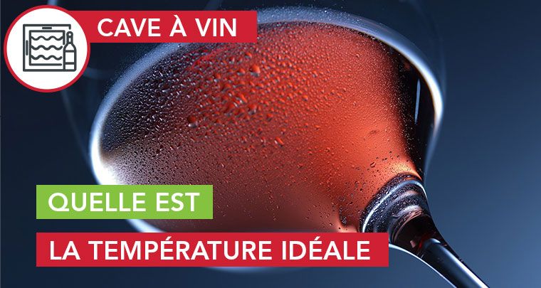 La température idéale cave à vin