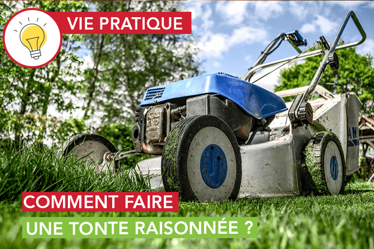 Comment faire une tonte raisonnée ?