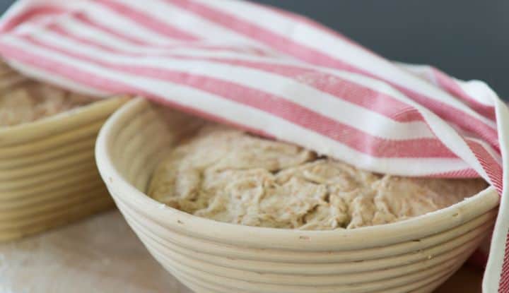 laisser reposer pate pain laisser reposer pate pain